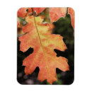 Search for backcountry cards Autumn