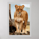 Search for lioness art Big cat