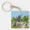 Search for lizards key rings Iguana