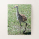 Search for wildlife photography puzzles Cute