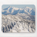 Search for snowy mousepads Frozen
