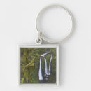 Search for river fall key rings Gorge
