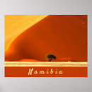 Search for namibia posters Dune