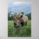 Search for kenya photography Wild animals