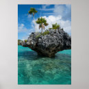 Search for fijian posters Blue