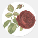 Search for vintage red rose stickers Flowers