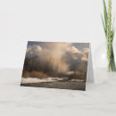 Search for foggy cards Nature