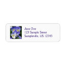 Search for purple pansy return address labels Flower