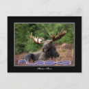 Search for frontier postcards Souvenir