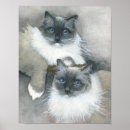 Search for blue eyed cat posters Cats