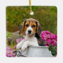 Search for beagles christmas tree decorations Cute
