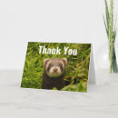 Search for ferret cards Funny