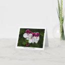 Search for collectable cards Flowers