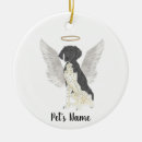Search for loss pet memorial ornaments Rainbow bridge