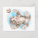 Search for cat postage Mail