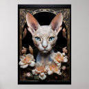 Search for hairless cat posters Feline
