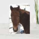 Search for blank horse cards Western