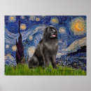Search for newfoundland dog posters Dogs