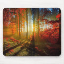 Search for fall scene mousepads Forest