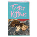 Search for adopt office supplies Kitten