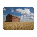 Search for wheat magnets Barn