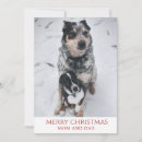 Search for adorable dog cards Winter