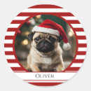 Search for candy canes labels Stripes