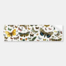 Search for collecting bumper stickers Collection