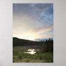 Search for misty trees posters Sky