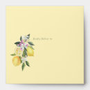 Search for lemon envelopes Simple
