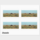 Search for desert camel stickers Africa