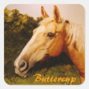 Search for small horse stickers For kids