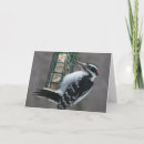 Search for wildlife lover cards Outdoors