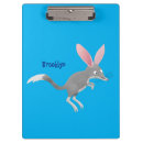 Search for bilbies Marsupial