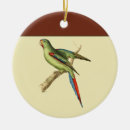 Search for bird pet memorials Drawing