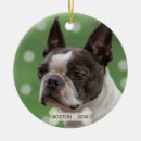Search for boston terrier holiday christmas decor Animals