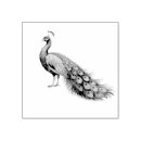 Search for peacock rubber stamps Peafowl