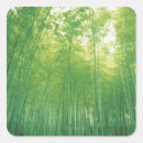 Search for bamboo forest stickers Photography