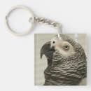 Search for african greys key rings African grey parrot