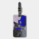 Search for tophat accessories Grey cat