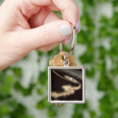 Search for two key rings Stars