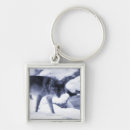 Search for confrontation key rings Cold temperature