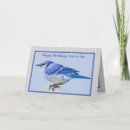 Search for blue jay birthday cards Bird