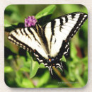 Search for black butterfly barware Close up