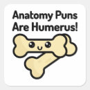 Search for anatomy stickers Bone