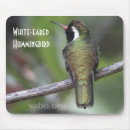 Search for hummingbird mousepads Birds