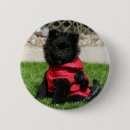 Search for looking at camera badges Dog