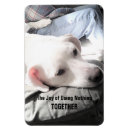 Search for outing rectangular magnets For him