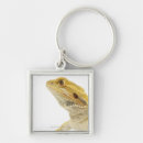 Search for bearded dragon key rings Scales