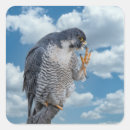 Search for hudson stickers Wildlife